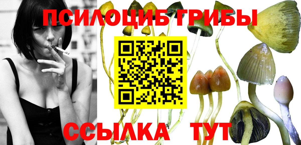 Псилоцибиновые грибы прущие грибы  Галлюциногенные грибы Cubensis  Кореновск  Вход с VPN 
